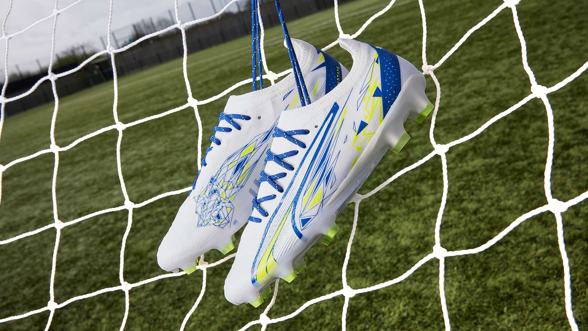 努力在各自 努力在各自