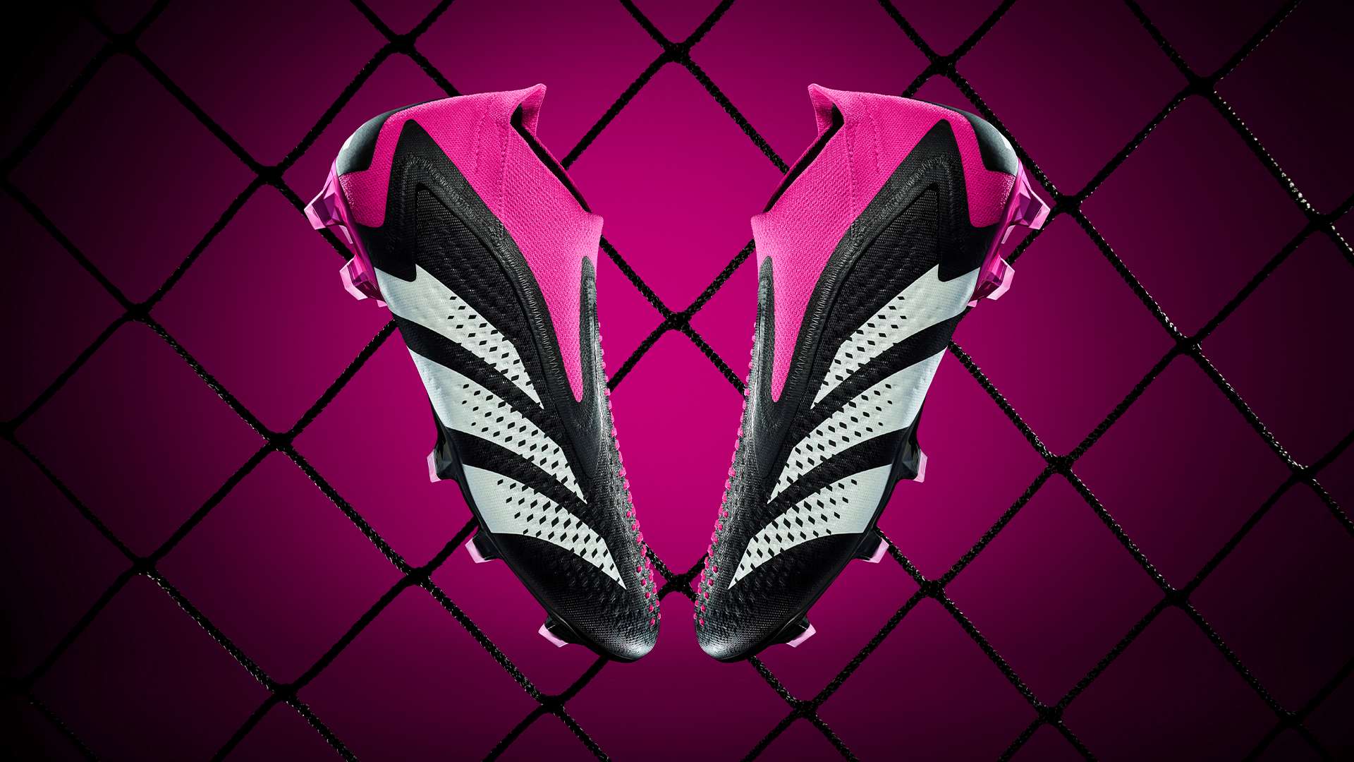 的战术安排 的战术安排