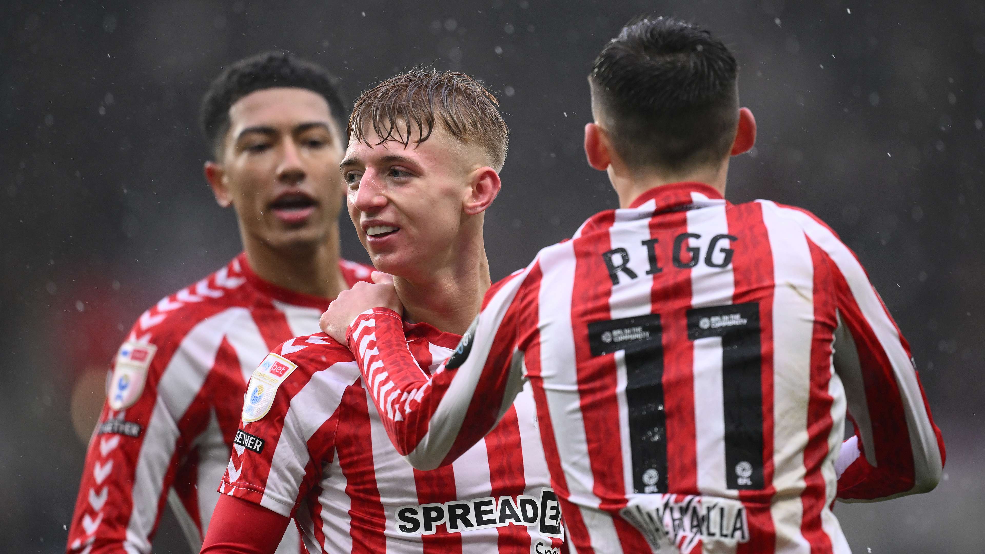 鲜明的特点 鲜明的特点